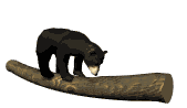 Les animaux